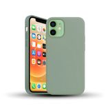Bix iPhone 11 Silikon Kılıf Güçlü Koruma Darbe Emici Kaktüs Yeşili