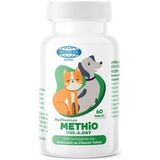 Biyo Biyoteknik Methio One A Day Kedi ve Köpek Vitamin 60 Tablet