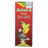 Biyoteknik Avi-Sol-A Kuş Vitamin