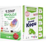 Biyotik 9. Sınıf Biyoloji Konu Anlatım Föyü - Origami Soru Bankası 2'li Set