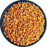 Bizim Yem Mısır 20KG Tavuk Yemi Yemlik Mısır Kanatlı Yemi Kaz Ördek Yemi Kuş Yemi