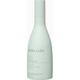 Björn Axén Nemlendirici Şampuan, Kuru Saçlar Için Hyaluronik Asitli Bakım - 250 ml