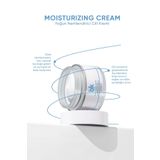 BK COMPANY Cilt Tonu Eşitleyici Ve Yoğun Nemlendirici Yüz Kremi 50 Ml ( Hyaluronic Acid - Niacinamide )