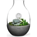 BK Kişiye Özel Eden Terrarium