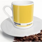 BK Kişiye Özel Isimli Pantone 0755 Kahve Fincanı