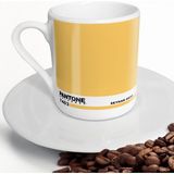 BK Kişiye Özel Isimli Pantone 7403 Kahve Fincanı