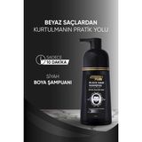 Black Hair Beyaz ve Gri Saçları Siyahlaştırıcı Doğal Görünüm ile Güçlendirici Şampuan 350ML