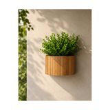 BLACK PEARL Ahşap Duvar saksısı bambu saksı