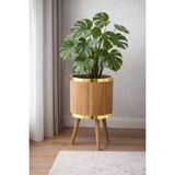 Black Pearl Bambu Ahşap Ayaklı Saksı Büyük Boy Gold 30 cm - 30x27cm