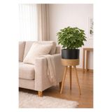 BLACK PEARL Bambu Ahşap ayaklı saksı siyah halatlı