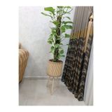BLACK PEARL Bambu Saksı Ahşap Saksı Hasır Saksı 46cm Ayak Boyu (24CM VEYA 39CM AYAK TALEP EDEBİLİRSİNİZ)