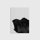 Black Rose Tablo Çerçeveli Poster Duvar Dekorasyonu - 50 x 70 - Çerçevesiz Poster