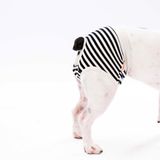 Black Striped Kedi-köpek Çamaşırı Regl Kilodu Kedi-Köpek Kıyafeti 2 NO