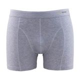 Blackspade 9233 Tender Cotton Gri Erkek Boxer