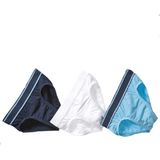 Blackspade Erkek Çocuk Külot 3'lü Paket 9394 - 5 - 7 Yaş - Lacivert - Mavi - Beyaz