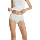 Blackspade Kadın Slip Büyük Beden Külot Essential 1307