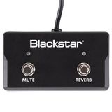 Blackstar Fs17 - 2 Sonnet Footcontroller