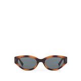 Blancia Milano BC1295 C3 Cat Eye Havana Kadın Güneş Gözlüğü