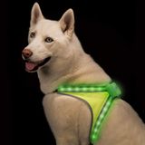 Blazin Güvenlik LED Işıklı Köpek Koşum Takımı | 8 Renk Artı 6 Yanıp Sönen Modu Yansıtıcı Işık Yeleği | USB Şarj Edilebilir, Yağmur Geçirmez, Hafif, Ayarlanabilir Boyutlandırma, 15 Saate Kadar Çalışma