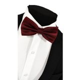 BLC Basic Line Co. Bordo Renk Armürlü Papyon