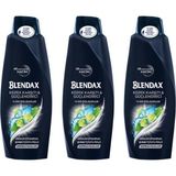 Blendax 3x500 ml Kepeğe Karşı Etkili Doğal Kil Özlü Şampuan