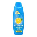 Blendax 500 ML Kepeğe Karşı Etkili Limon Özlü Şampuan