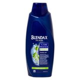 Blendax 650 ml Erkekler İçin Kepek Şampuanı