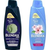 Blendax Erkekler İçin Kepeğe Karşı Etkili 500 ml Şampuan + Kiraz Çiçeği Özlü 500 ml Şampuan
