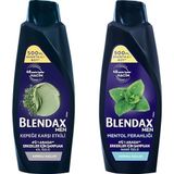 Blendax Erkekler İçin Kepeğe Karşı Etkili 500 ml ve Blendax Erkekler için Mentol Ferahlığı Nane Özlü Şampuan, 500 ml