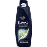 Blendax Erkekler İçin Kepeğe Karşı Etkili 550 ml Şampuan