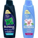 Blendax Erkekler için Mentol Ferahlığı Nane Özlü Şampuan, 500 ml ve Blendax Anında Parlaklık ve Yumuşaklık Kiraz Çiçeği Özlü Şampuan, 500 ml