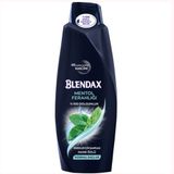 Blendax Erkekler İçin Mentollü 500 ml Şampuan