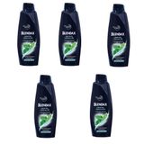 Blendax Erkekler İçin Mentollü 5x470 ml Şampuan