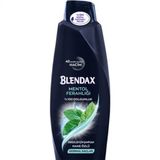 Blendax Erkekler İçin Mentollü 5x550 ml Şampuan