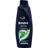 Blendax Erkekler İçin Mentollü 6x500 ml Şampuan
