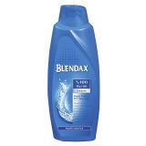 Blendax Erkeklere Özel Mentol 550 ml Şampuan