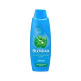 Blendax Isırgan Özlü 470 ml Şampuan
