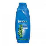 Blendax Isırgan Özlü 650 ml Şampuan