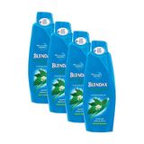 Blendax Isırgan Özlü Saç Dökülmesine Karşı Şampuan, 4x500 ml Set