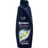 Blendax Men 500 ml Kepeğe Karşı Şampuan