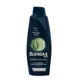 Blendax Men Kepeğe Karşı Etkili Doğal Kil Özlü 2x500 ml Şampuan