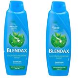 Blendax Saç Dökülmelerine Karşı Isırgan Özlü 2x470 ml Şampuan