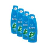 Blendax Saç Dökülmelerine Karşı Isırgan Özlü Şampuan 4 x 500 ML