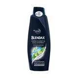 Blendax Şampuan 500 Ml Men Kepeğe Karşı Etkili Doğal Kil Özlü 4 Ü 1 Arada 8690572805695