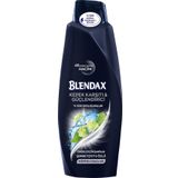 Blendax Tüm Saçlar İçin 500 ml Kepek Önleyici 2'si 1 Arada Şampuan