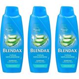 Blendax Yoğun Nemlendirme Aloe Vera Şampuan 500 Ml X 3 Adet