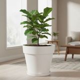 Bliss 10 Lt Tabaklı Izgaralı Dekoratif Plastik Yalı Saksı - Kırık Beyaz
