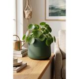 Bliss Atlas Saksı 4 Litre Dekoratif Çiçek Saksısı 27 cm Modern Büyük Saksı İç ve Dış Mekan Bitki Saksısı