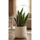 Bliss Atlas Saksı 7 Litre Büyük Boy Dekoratif Saksı 32 cm İç Dış Mekan Çiçek ve Bitki Saksısı