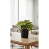Bliss Lotus Kendinden Tabaklı 1,8 Litre Küçük Saksı Dekoratif Plastik Çiçek Saksısı Modern Çizgili Saksı İç Mekan Dış Mekan Bitki Saksısı